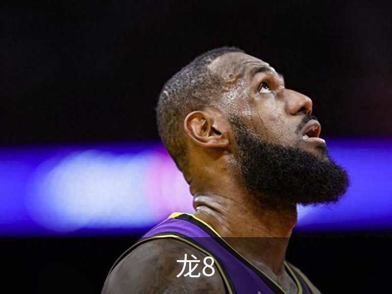龙8介绍